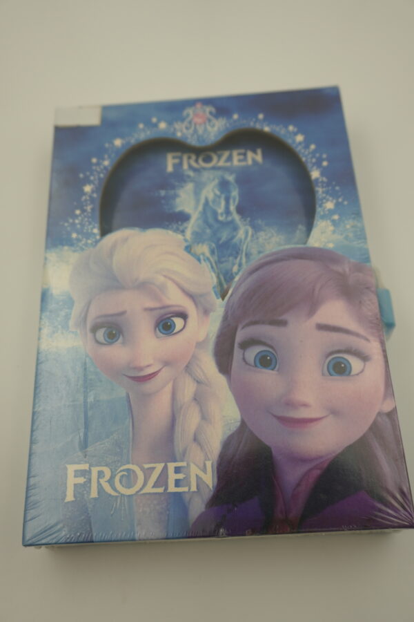 AG-D-13 Diary / Frozen notebook