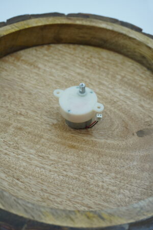 Gear Motor