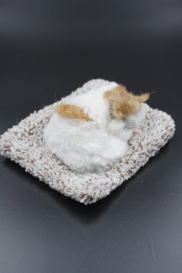 Sleeping cat small