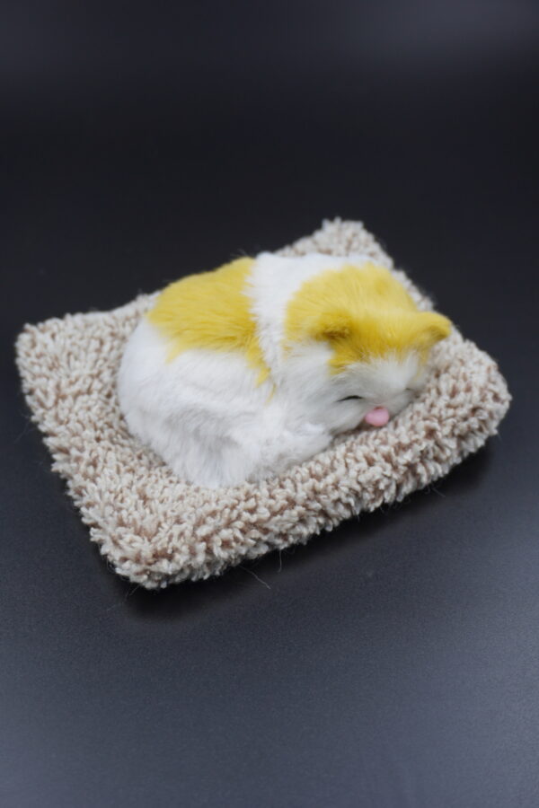 Sleeping cat small