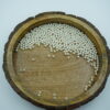 Pearl white Craft Beads