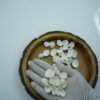 white ridged sea shells